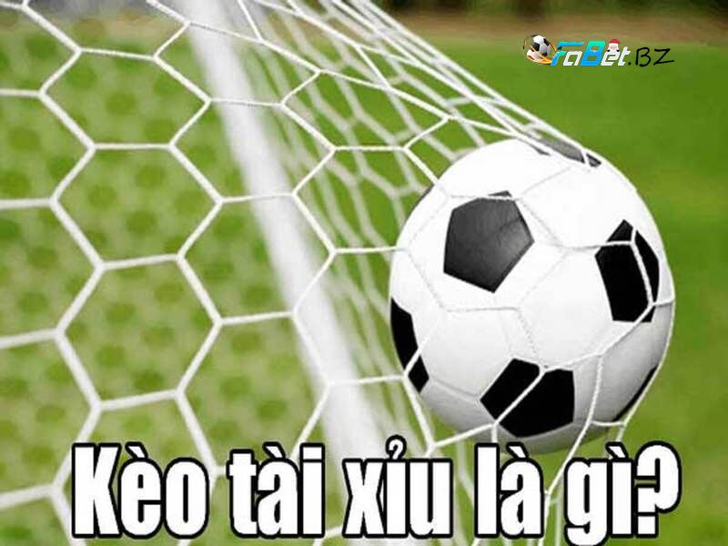 oi kèo tài xỉu